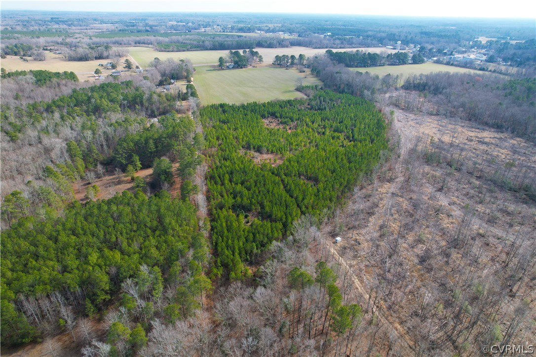 33.7 Acres (off Of) Rolfe Highway Spring Grove, VA 23881 - Photo 7 of 30 Gallery Image 7