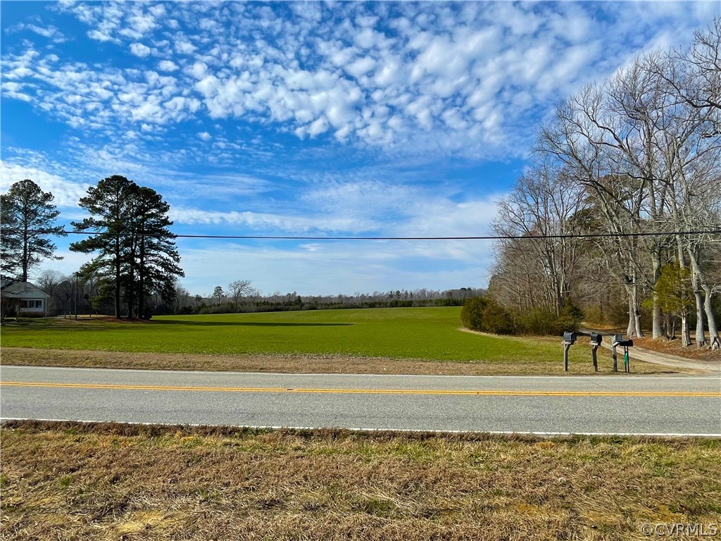 33.7 Acres (off Of) Rolfe Highway Spring Grove, VA 23881 - Photo 8 of 30 Gallery Image 8