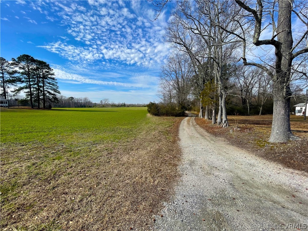 33.7 Acres (off Of) Rolfe Highway Spring Grove, VA 23881 - Photo 9 of 30 Gallery Image 9