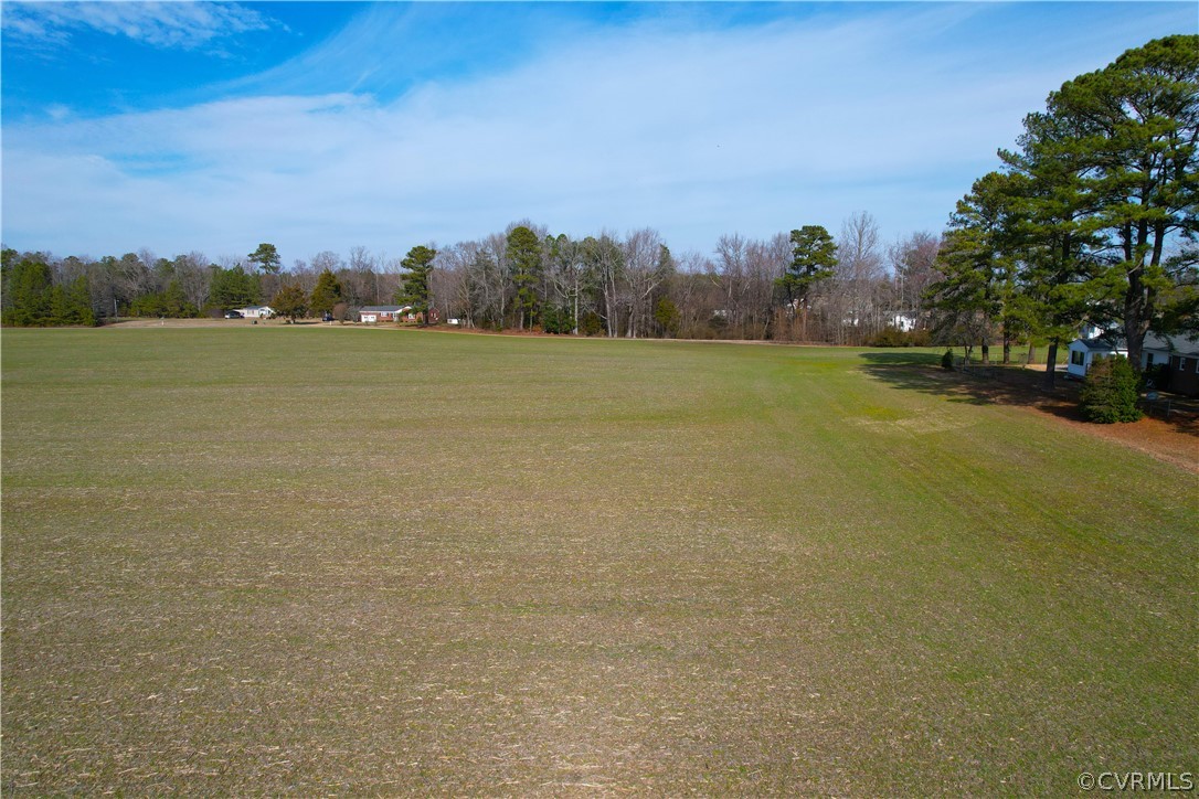 33.7 Acres (off Of) Rolfe Highway Spring Grove, VA 23881 - Photo 10 of 30 Gallery Image 10