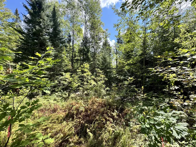 $45,500 | M4-l54&55 Bragg Road, Detroit, ME 04929