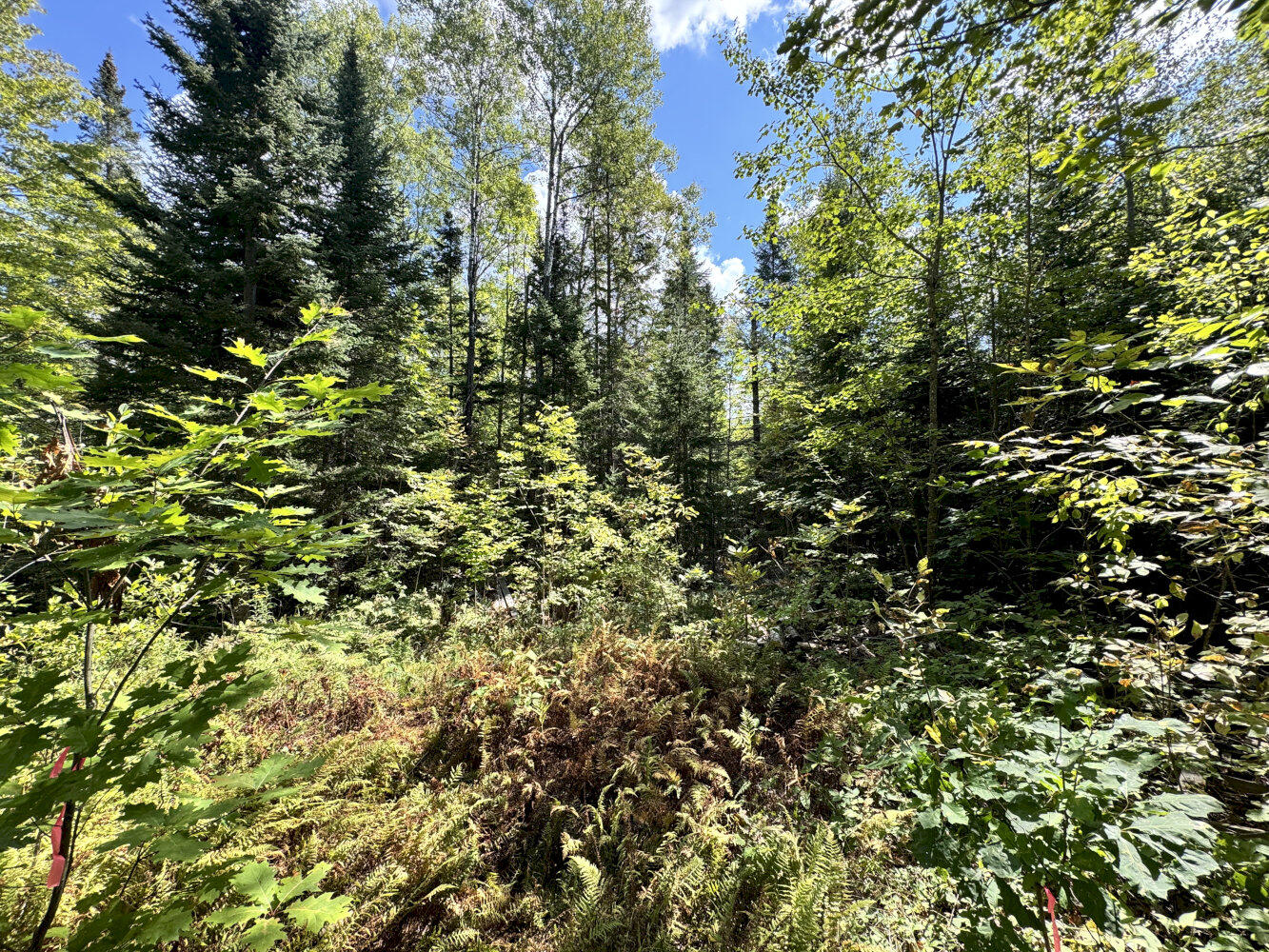 M4-l54&55 Bragg Road Detroit, ME 04929 - Photo 23 of 27 IMG_3174_result