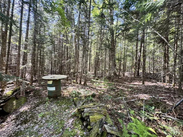 $45,500 | M4-l54&55 Bragg Road, Detroit, ME 04929