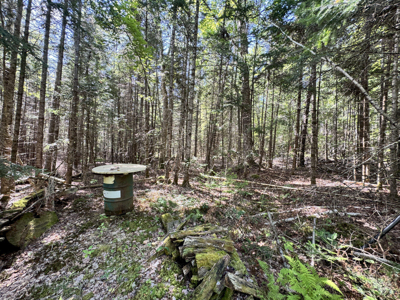 M4-l54&55 Bragg Road Detroit, ME 04929 - Photo 24 of 27 IMG_3175_result