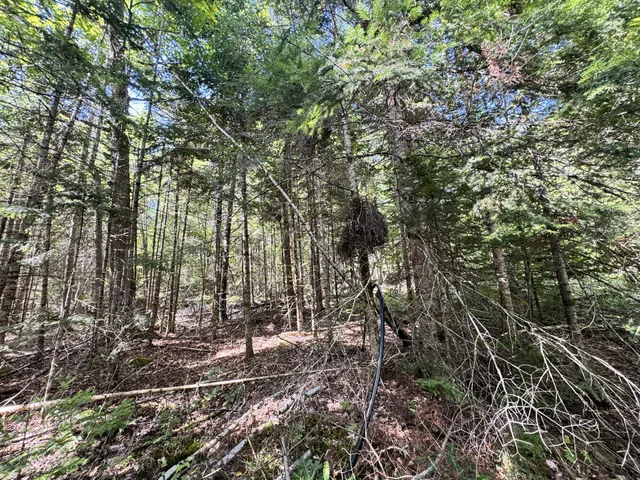 $45,500 | M4-l54&55 Bragg Road, Detroit, ME 04929