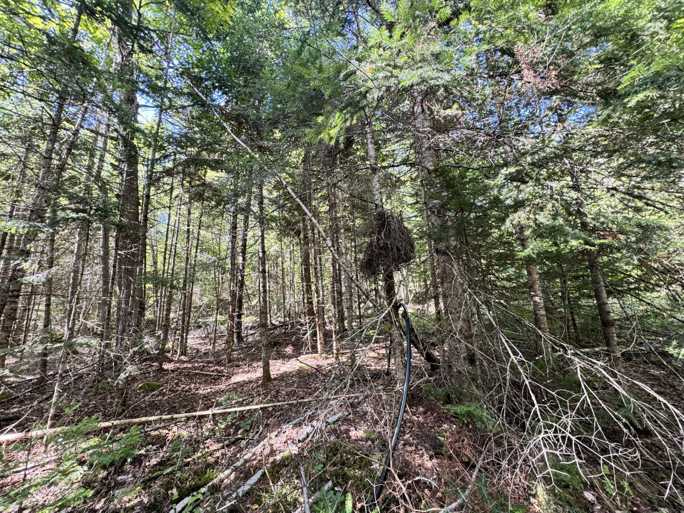 M4-l54&55 Bragg Road Detroit, ME 04929 - Photo 27 of 27 IMG_3181_result