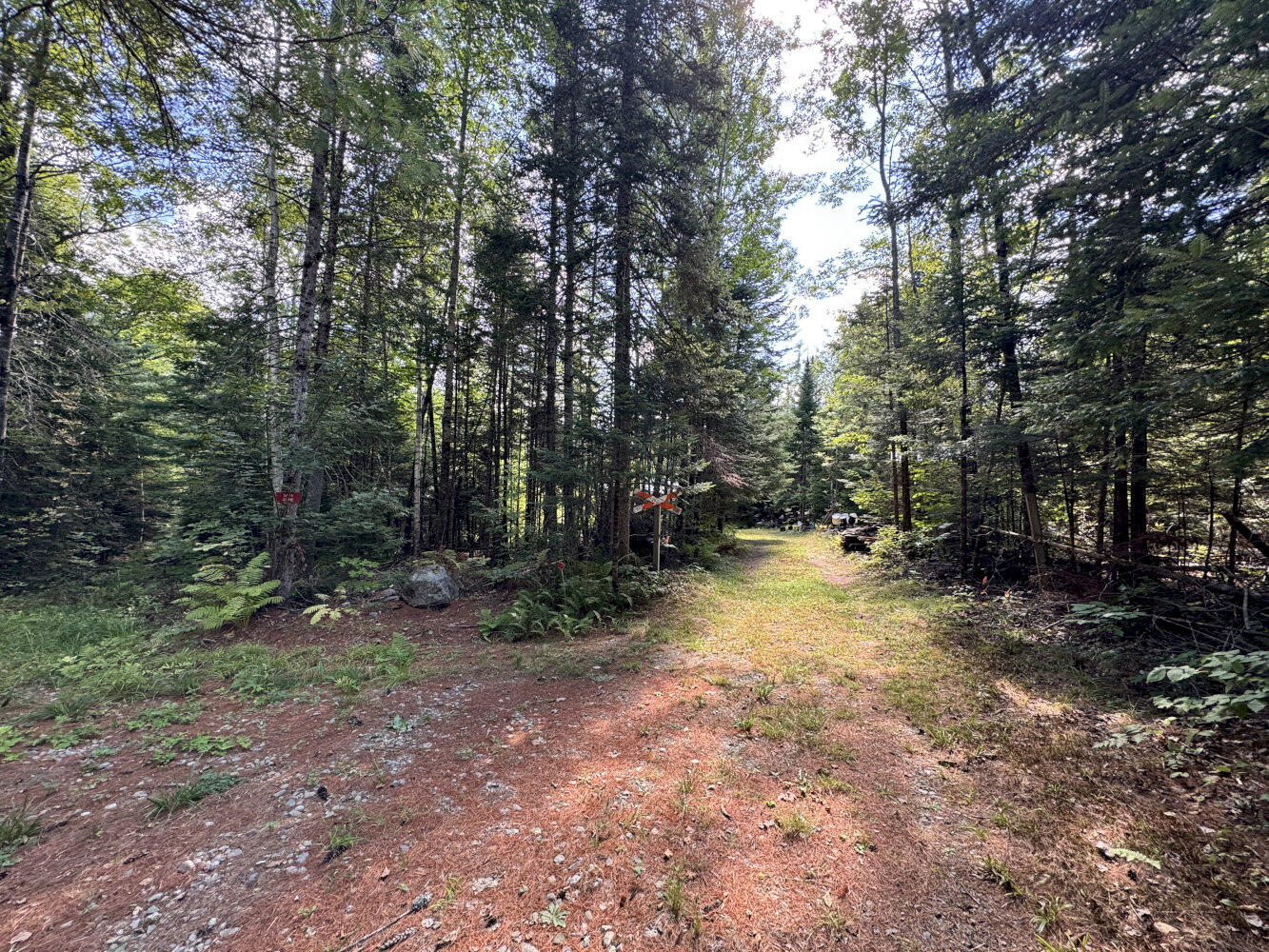 M4-l54&55 Bragg Road Detroit, ME 04929 - Photo 3 of 27 IMG_3132_result