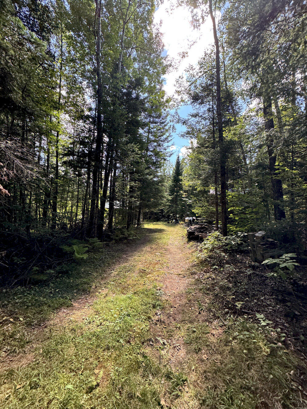 M4-l54&55 Bragg Road Detroit, ME 04929 - Photo 4 of 27 IMG_3135_result