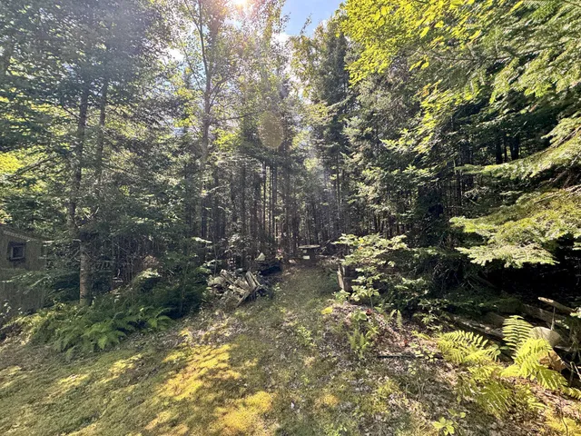 $45,500 | M4-l54&55 Bragg Road, Detroit, ME 04929