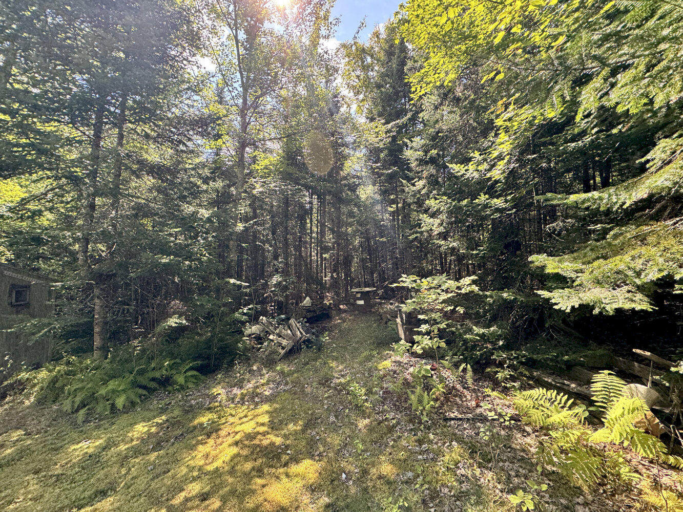 M4-l54&55 Bragg Road Detroit, ME 04929 - Photo 10 of 27 IMG_3147_result