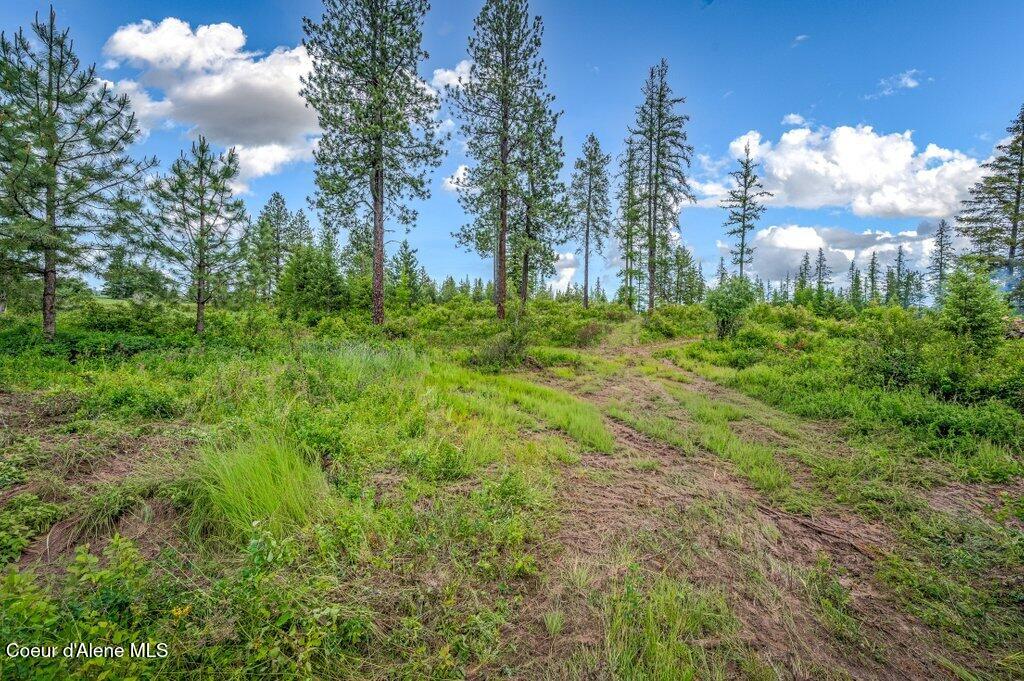 1 Freedom Way Road Plummer, ID 83851 - Photo 18 of 34 --25.jpg-SMALL