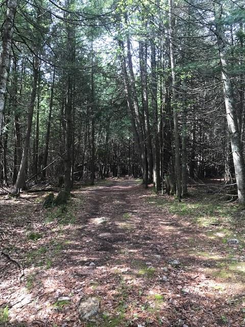 Lot 2 West Meadow Road Fish Creek, WI 54212 - Photo 33 of 40