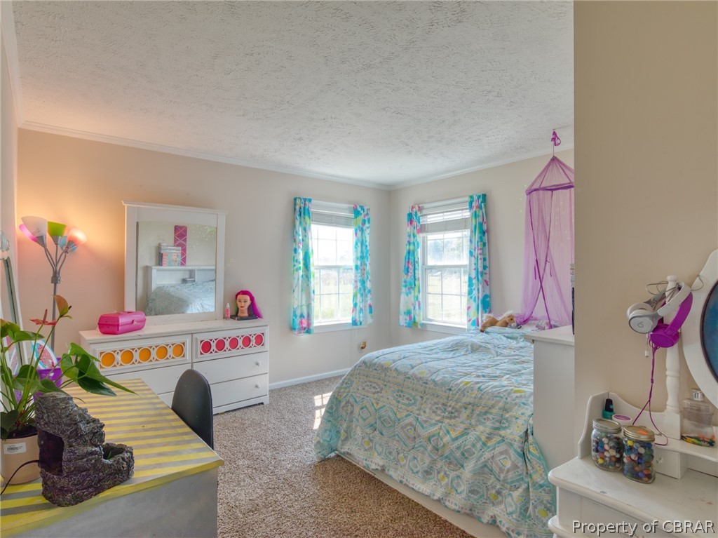 6522 Fire Tower Road Zuni, VA 23898 - Photo 11 of 41