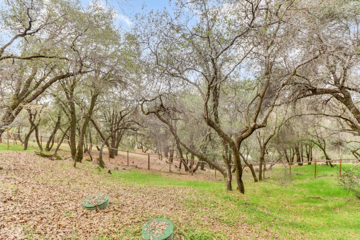 2066 Bogus Point Court Cool, CA 95614 - Photo 71 of 71