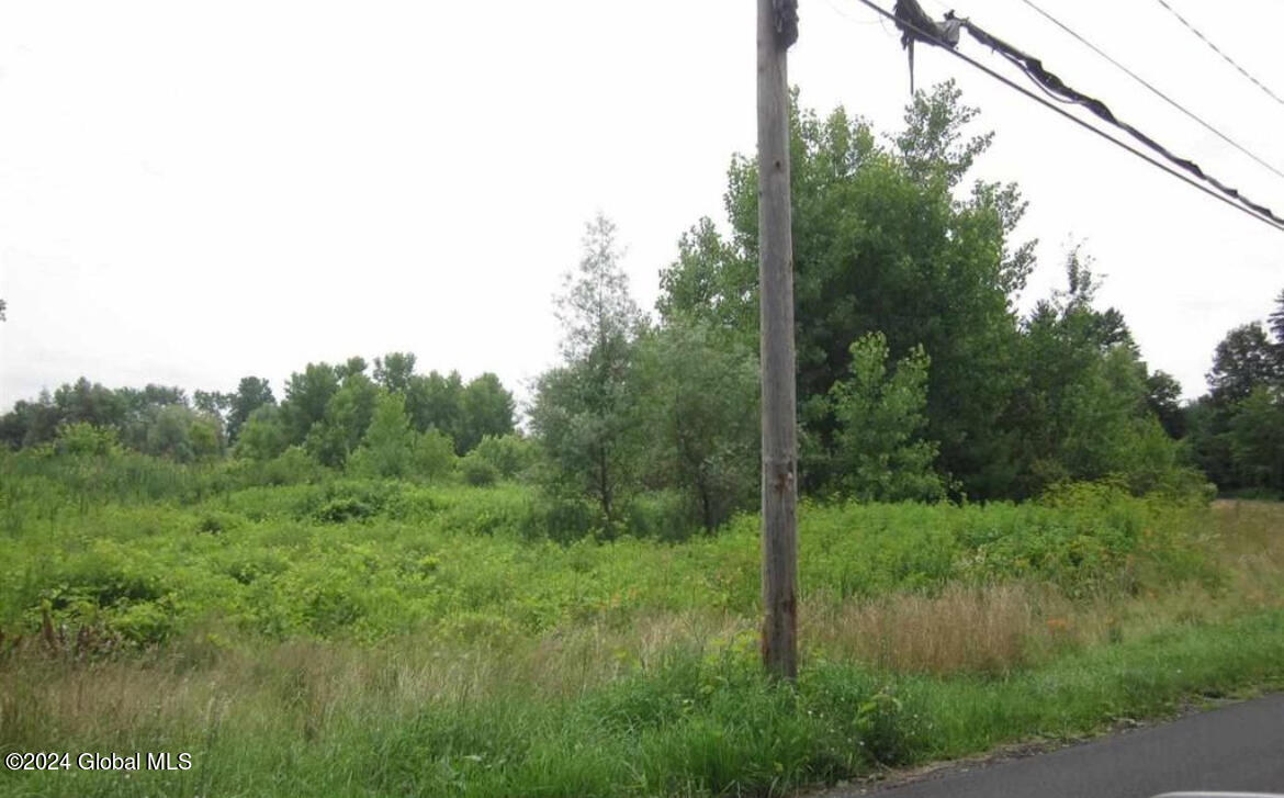 L26.2 Lasher Road Bethlehem, NY 12158 - Photo 2 of 3 lasher pic