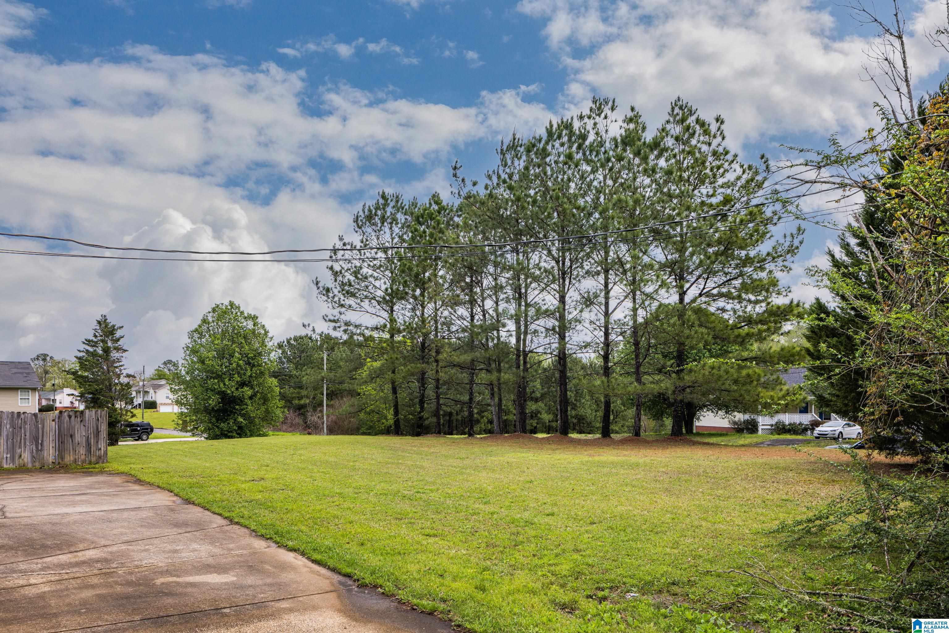 9338 Silley Dean Road Pinson, AL 35126 - Photo 37 of 37