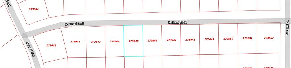 417 Maloma Road Tool, TX 75143 - Photo 3 of 3