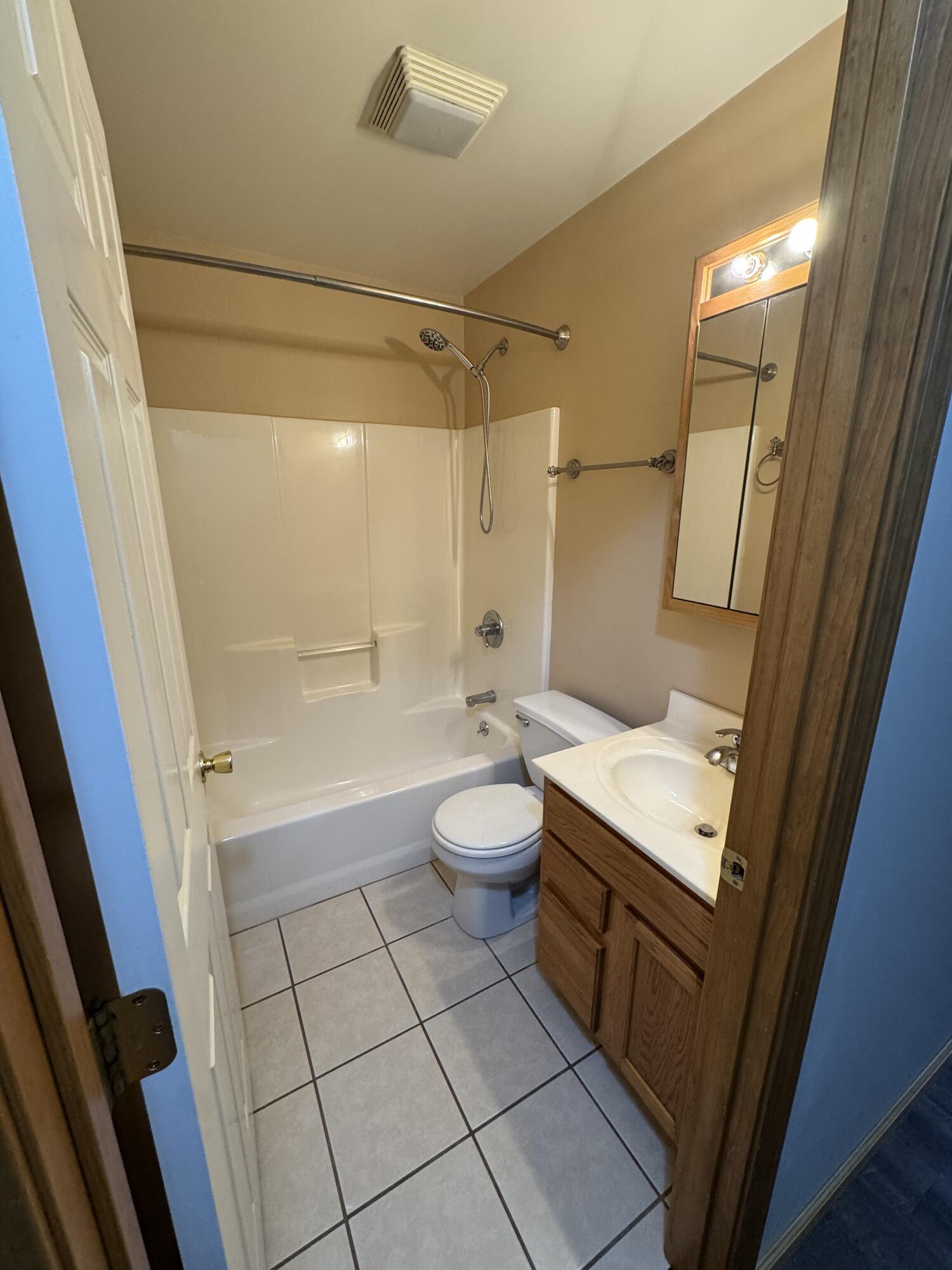 10603 Georgetown Drive Demotte, IN 46310 - Photo 11 of 31 a bathroom with a sink a toilet and shower
