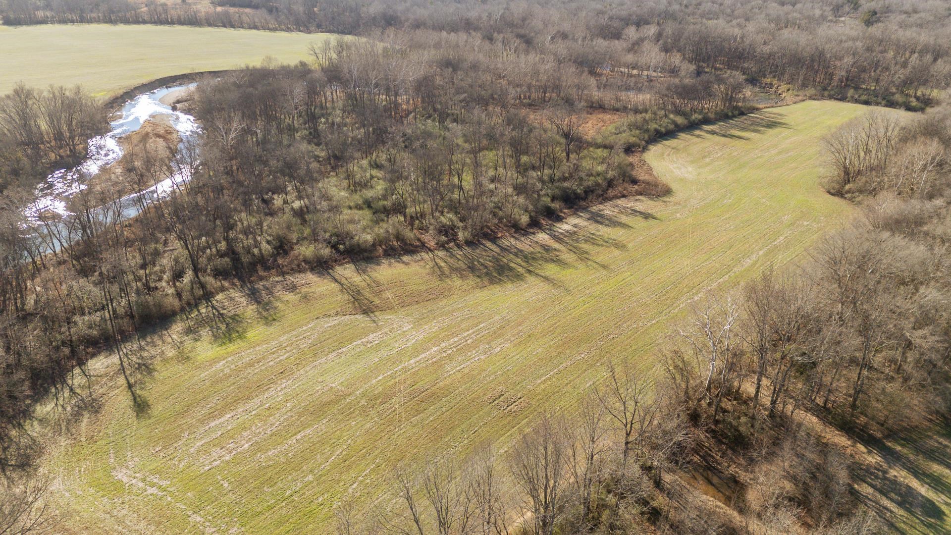 0 128th Highway Savannah, TN 38372 - Photo 11 of 13 Aerial view of a heavily wooded area