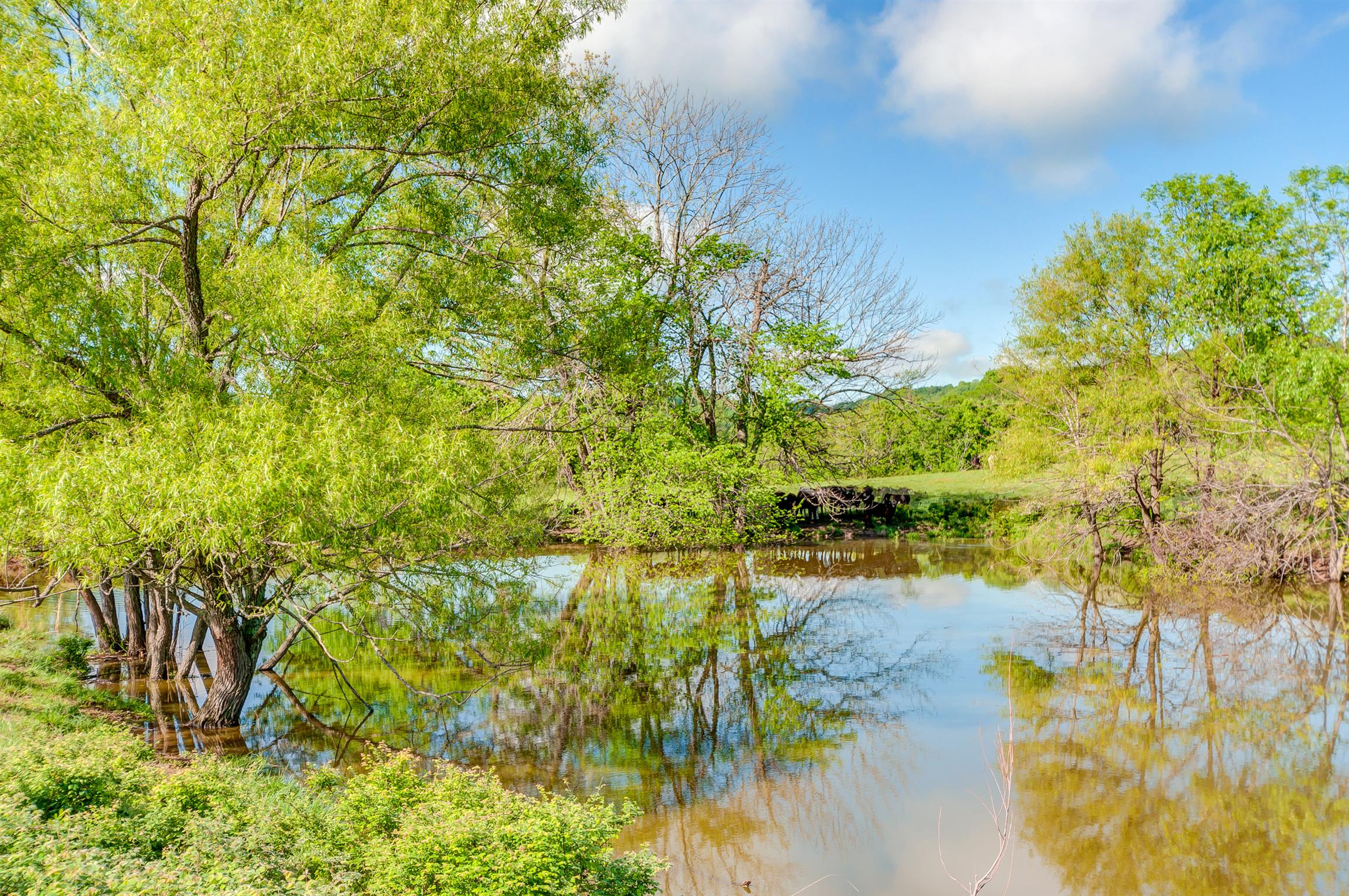 2894 East Sheepneck Road Culleoka, TN 38451 - Photo 5 of 10 Gallery Image 5