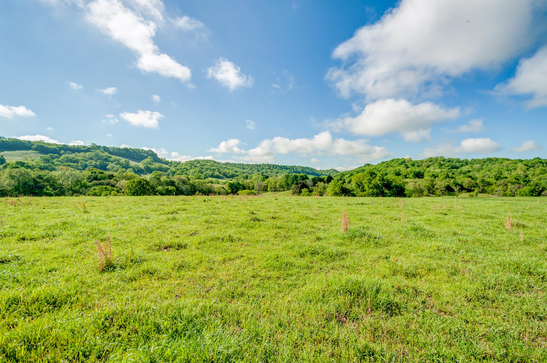 2894 East Sheepneck Road Culleoka, TN 38451 - Photo 9 of 10 Gallery Image 9