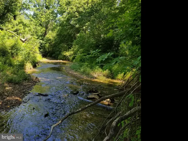 $89,000 | South F T Valley Road, Madison, VA 22727