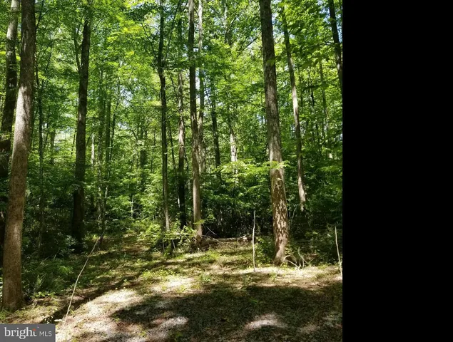 $89,000 | South F T Valley Road, Madison, VA 22727