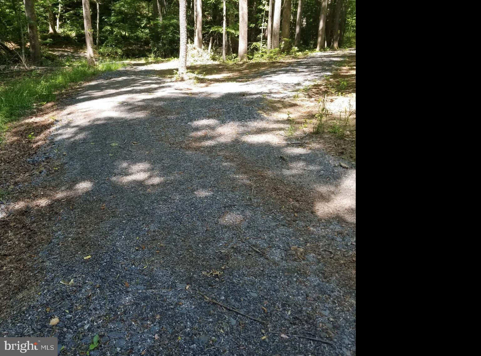 South F T Valley Road Madison, VA 22727 - Photo 3 of 8 Shared Entrance to Two 7+ Acre Tracts