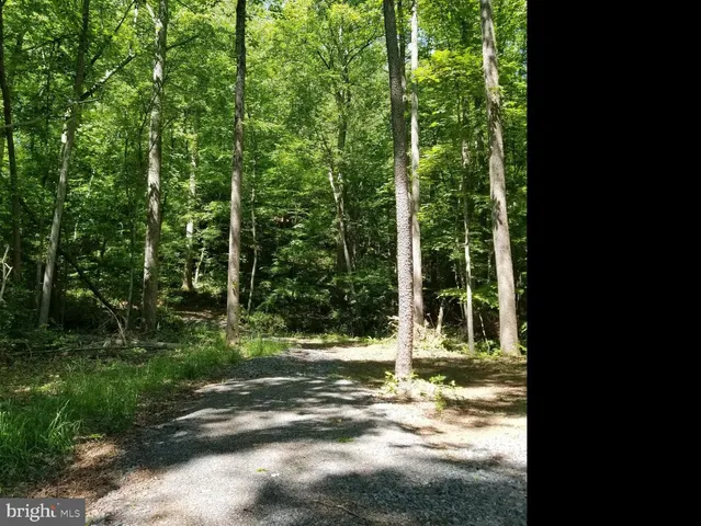 $89,000 | South F T Valley Road, Madison, VA 22727