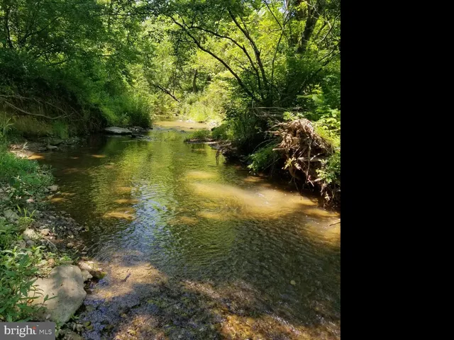 $89,000 | South F T Valley Road, Madison, VA 22727