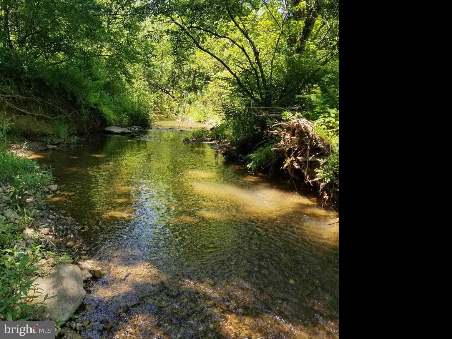 South F T Valley Road Madison, VA 22727 - Photo 7 of 8 Shotwell Run Bordering Property