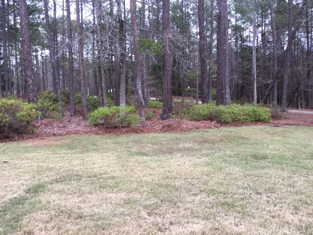 9802 Fortson Road Fortson, GA 31808 - Photo 15 of 15 Gallery Image 15
