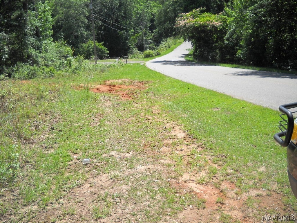0 Whittle Hudson Road Ozark, AL 36360 - Photo 13 of 24 Gallery Image 13