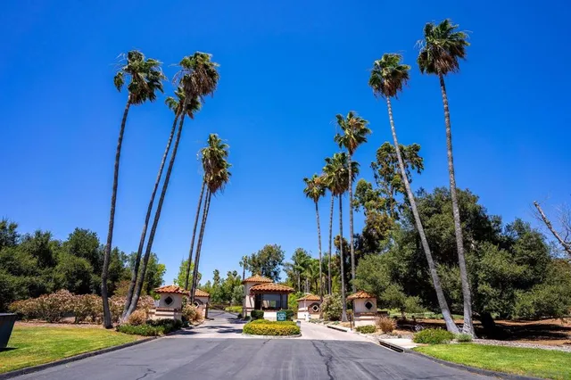 a view of a garden with a table and chairs