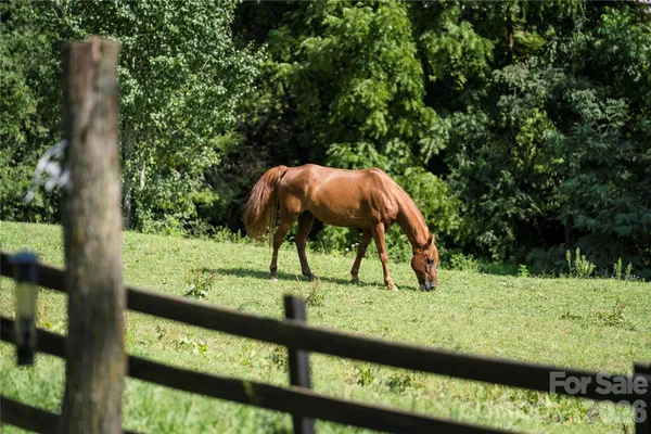 $820,000 | 48 Silent Forest Drive, Canton, NC 28716