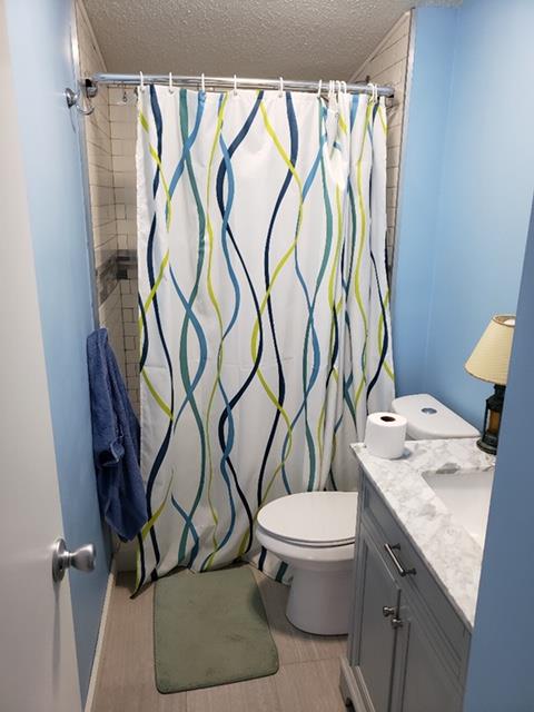 4305 Chicken Road Lebanon, TN 37090 - Photo 13 of 28 a bathroom with a granite countertop sink a toilet and a shower curtain