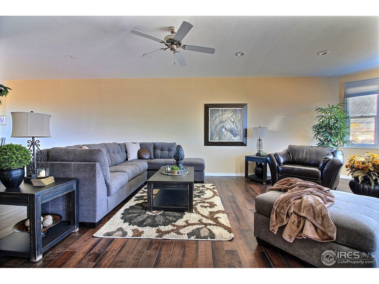 1480 Red Tail Road Eaton, CO 80615 - Photo 9 of 40 Gallery Image 9