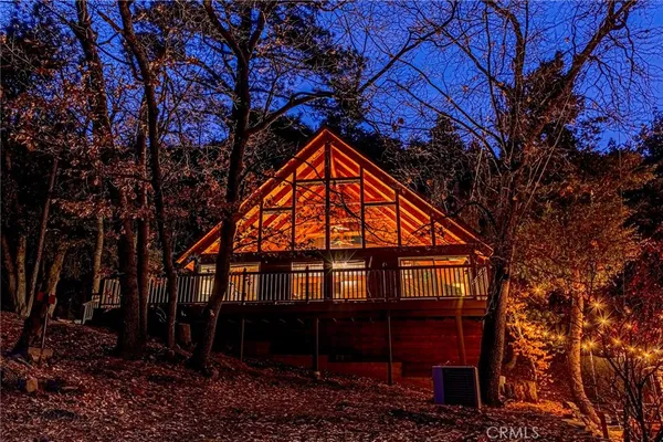 a view of a yard with plants and large trees