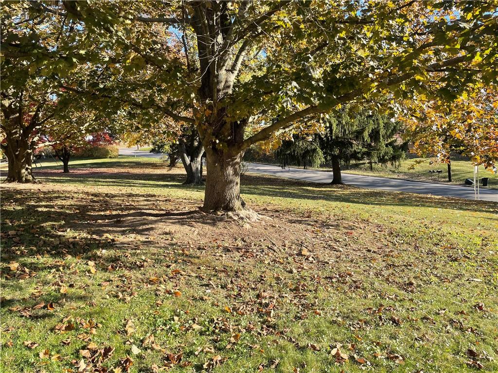 130 Bradys Ridge Road Beaver, PA 15009 - Photo 13 of 22 a view of a yard with an trees