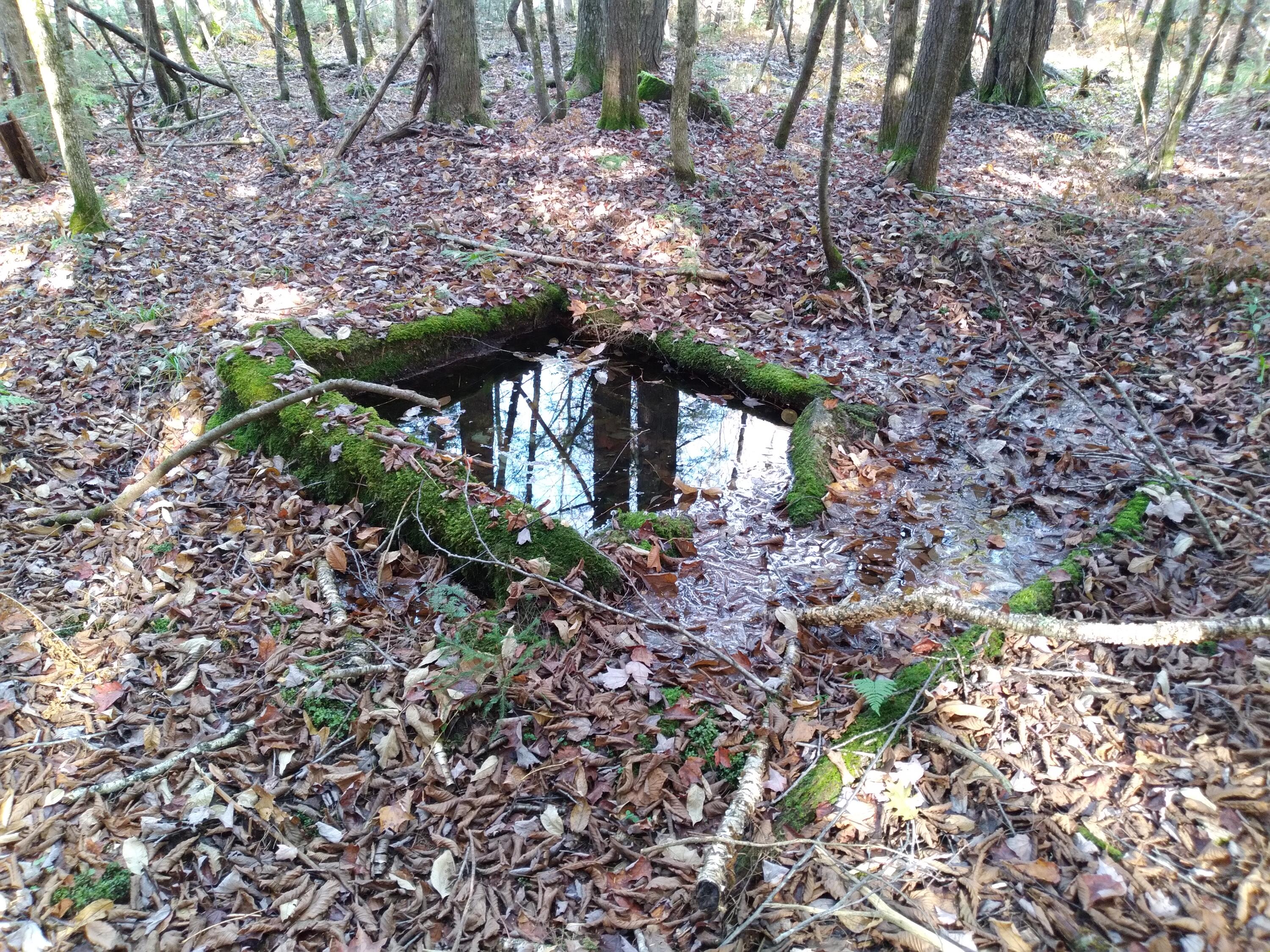 21-8 Raven Lane Fryeburg, ME 04037 - Photo 5 of 7 Raven Lane pic1