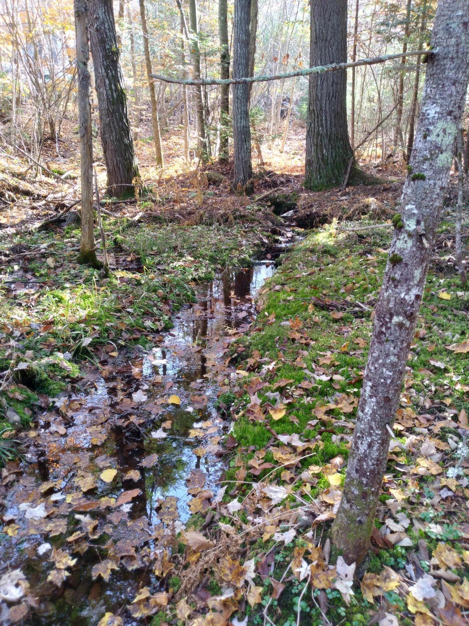 21-8 Raven Lane Fryeburg, ME 04037 - Photo 6 of 7 Raven Lane pic4