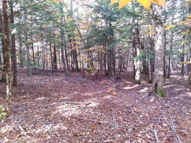 $120,000 | 21-8 Raven Lane, Fryeburg, ME 04037