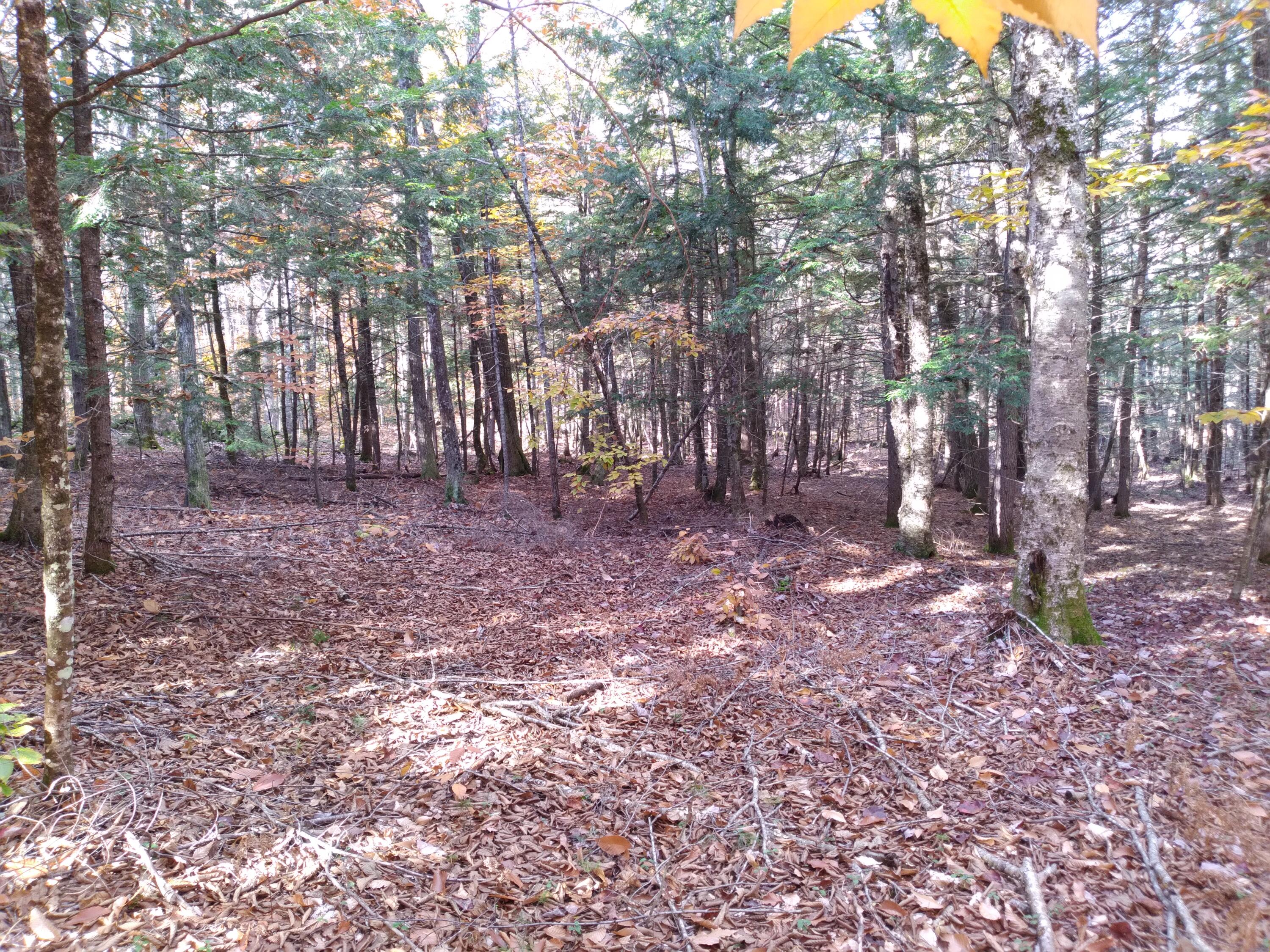 21-8 Raven Lane Fryeburg, ME 04037 - Photo 7 of 7 Raven Lane pic3