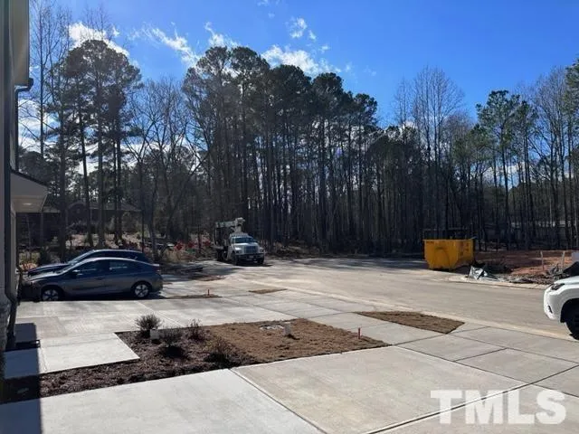 a view of a park with large trees