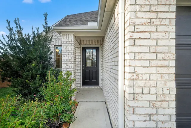 a front view of a house with plants