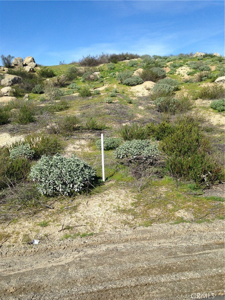 23685 Tapatia Road Homeland, CA 92548 - Photo 7 of 20 a view of a yard with an ocean