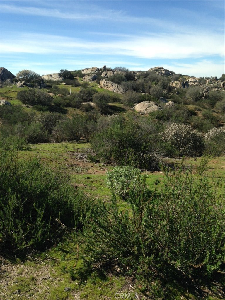 23685 Tapatia Road Homeland, CA 92548 - Photo 10 of 20 a view of a forest with mountains in the background