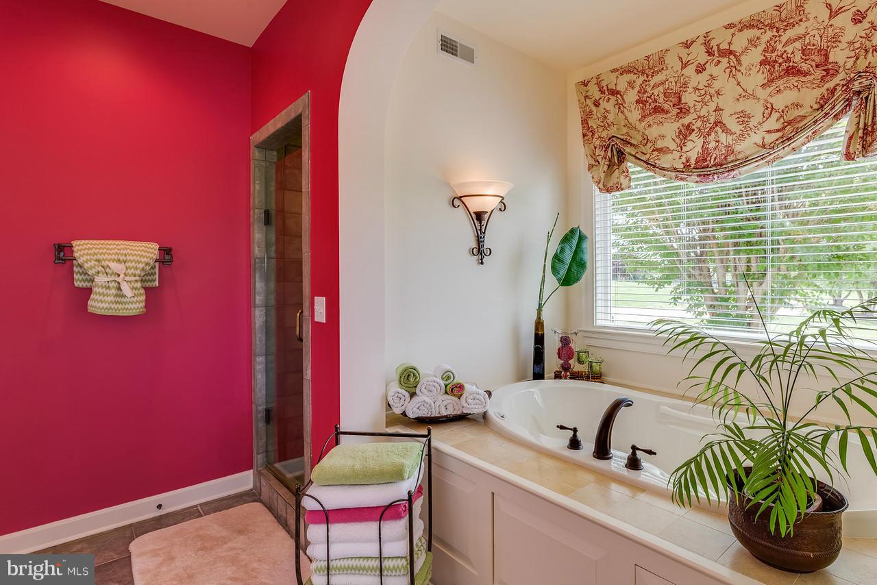 5362 Leeds Manor Road Hume, VA 22639 - Photo 17 of 30 Bath (Master)