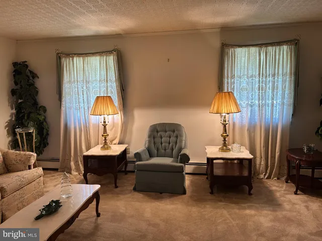 a living room with furniture and a lamp