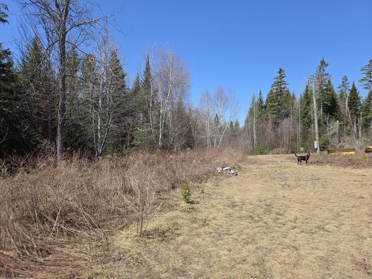 131 River Road Oakfield, ME 04763 - Photo 7 of 9 20260504_111616